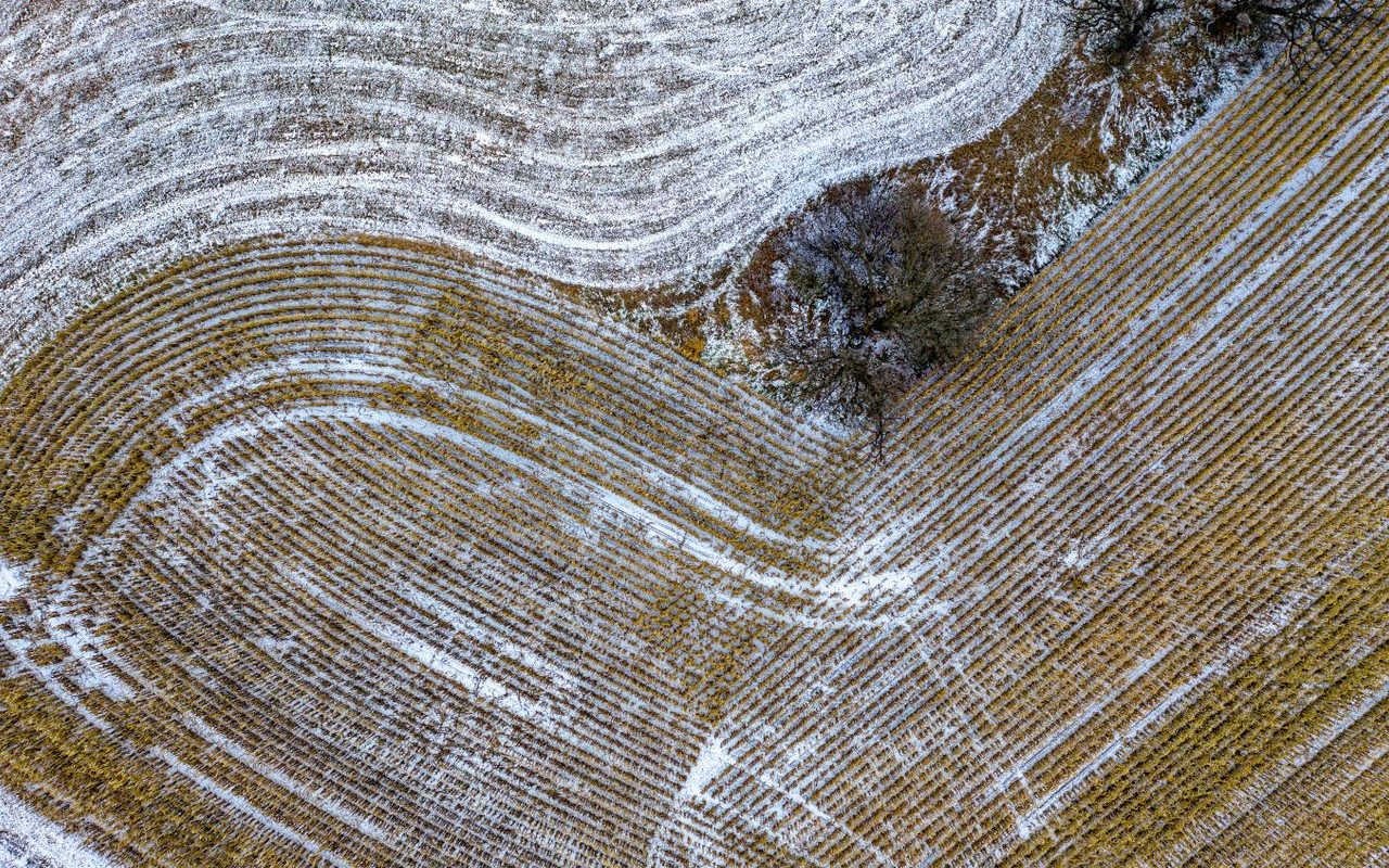 Grand terrain agricole (photo de démonstration)