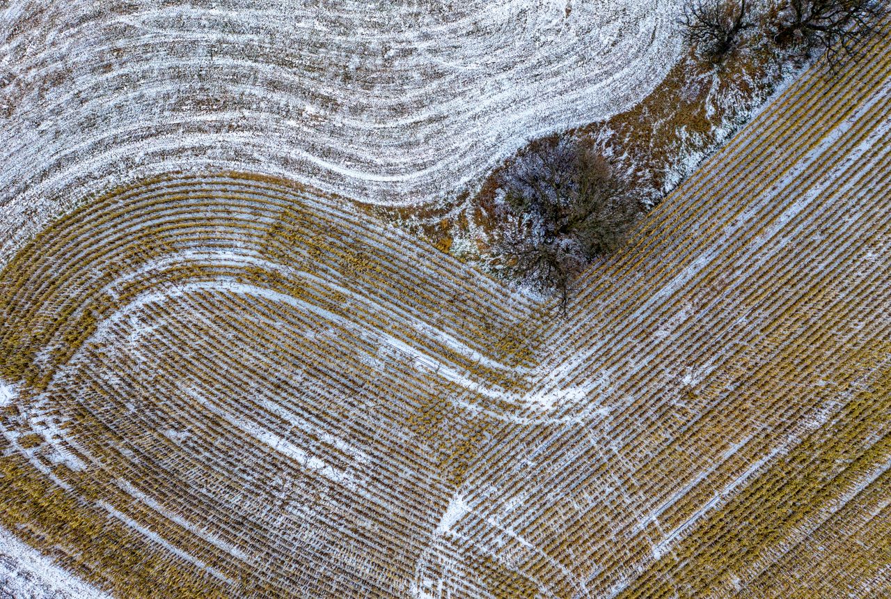 Terrain nu